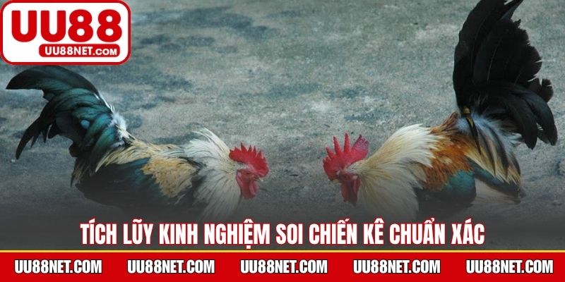 Tích lũy kinh nghiệm soi chiến kê chuẩn xác